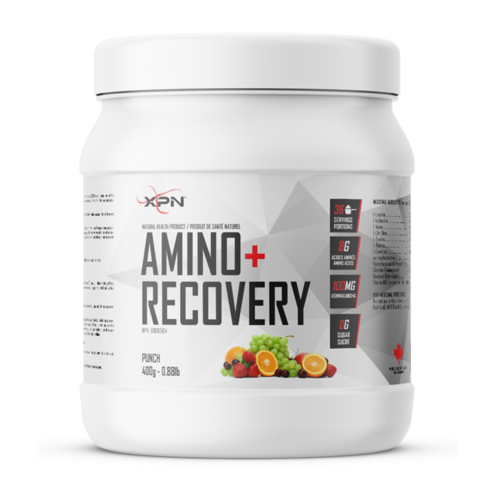 Amino+Recovery 400g - XPN